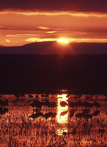 1729-3_sunset_v