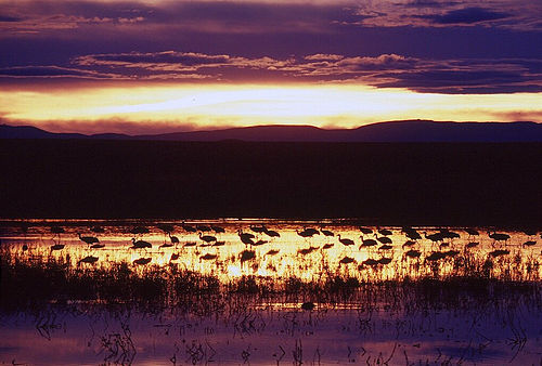1731-4_sunset