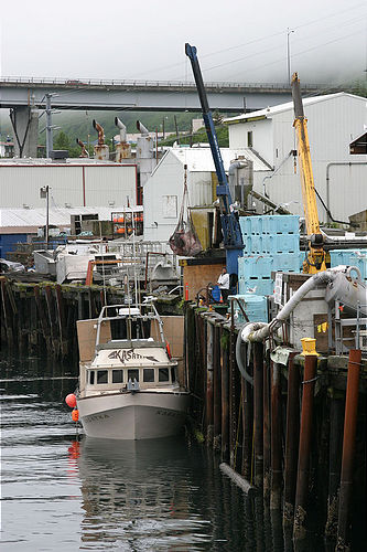 7-14-03_Kodiak_0015