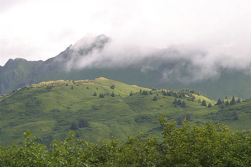 7-14-03_Kodiak_0028