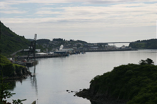 7-14-03_Kodiak_0029
