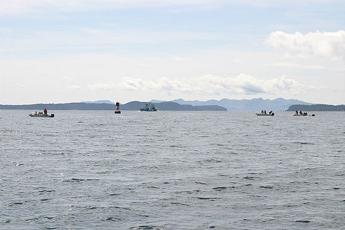 7-14-03_Kodiak_0030