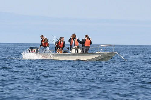 7-14-03_Kodiak_0035