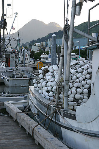 7-14-03_Kodiak_0048