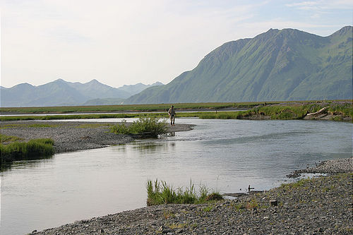7-14-03_Kodiak_0155