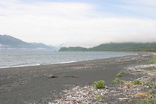 7-14-03_Kodiak_0156