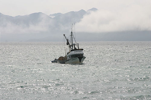 7-14-03_Kodiak_0161
