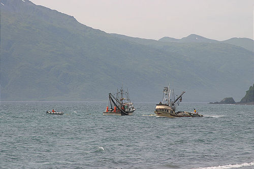7-14-03_Kodiak_0162