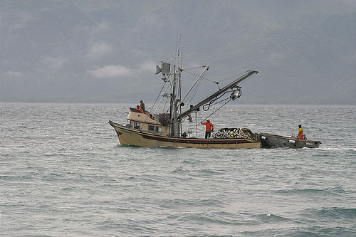 7-14-03_Kodiak_0163