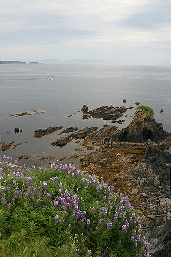 7-14-03_Kodiak_0194