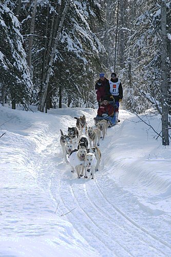 2004-03-06_IMG_2959_Iditarod_500