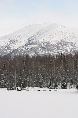 2004-03-06_IMG_3012_Iditarod_500