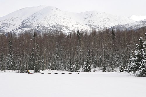 2004-03-06_IMG_3016_Iditarod_500