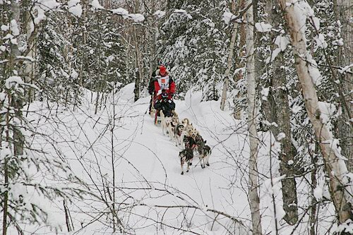 2004-03-06_IMG_3033_Iditarod_500