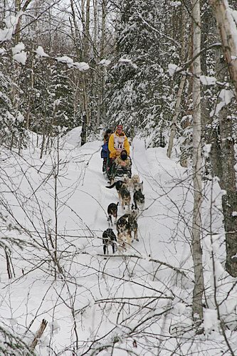 2004-03-06_IMG_3038_Iditarod_500