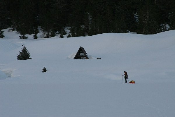 IMG_3342